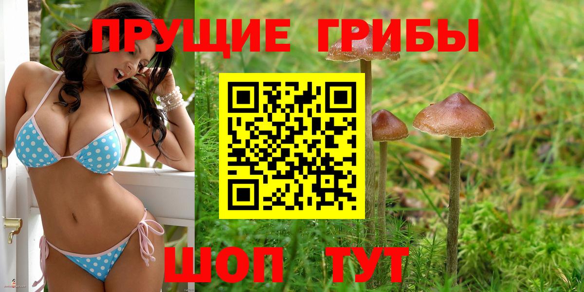 Камышлов  Псилоцибиновые грибы ЛСД  Вход с VPN 