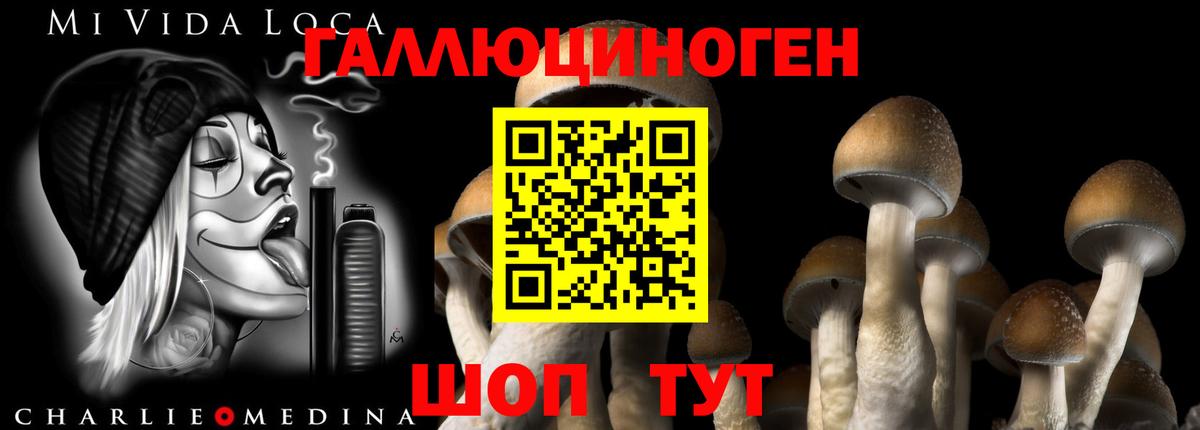 Галлюциногенные грибы прущие грибы Камышлов